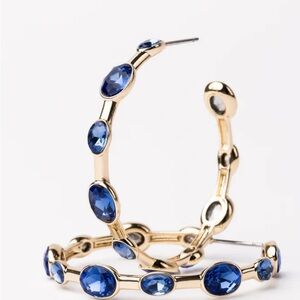 Michelle McDowell Allie Blue Hoops